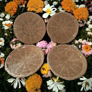 4 Wicker Rattan Wall Decor Woven Paper Plate Holders Vintage 80s BBQ Natural‎